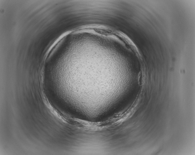 X0000085050860200703191257