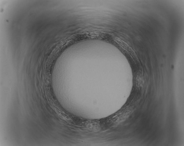X0000085050865200703191256