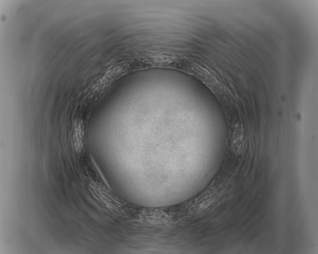 X0000085050866200703191256