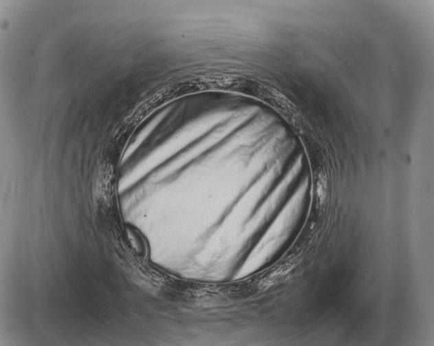 X0000085050867200703191256