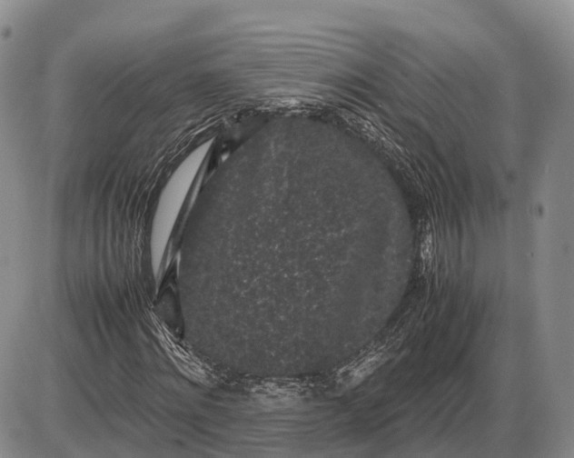 X0000085050868200703191256