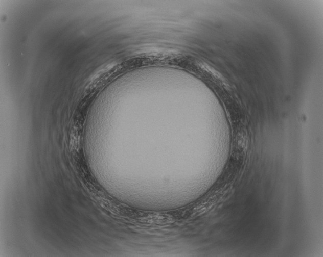 X0000085050869200703191256