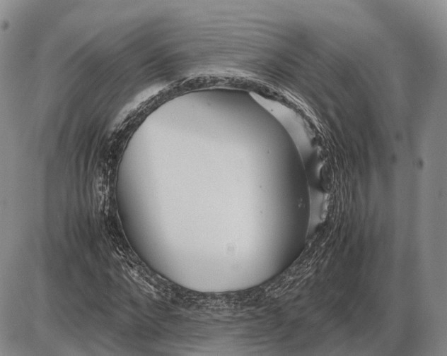 X0000085050872200703191256