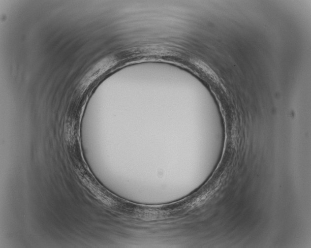 X0000085050873200703191256