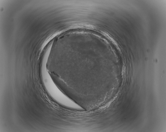 X0000085050877200703191256