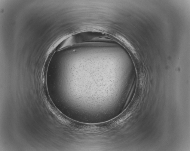 X0000085050885200703191256