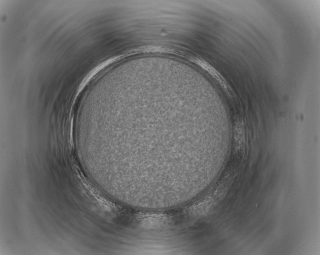 X0000085050886200703191256