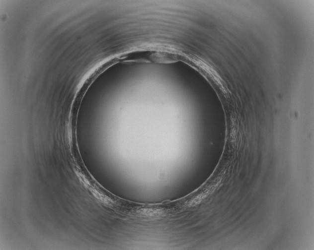 X0000085050888200703191256
