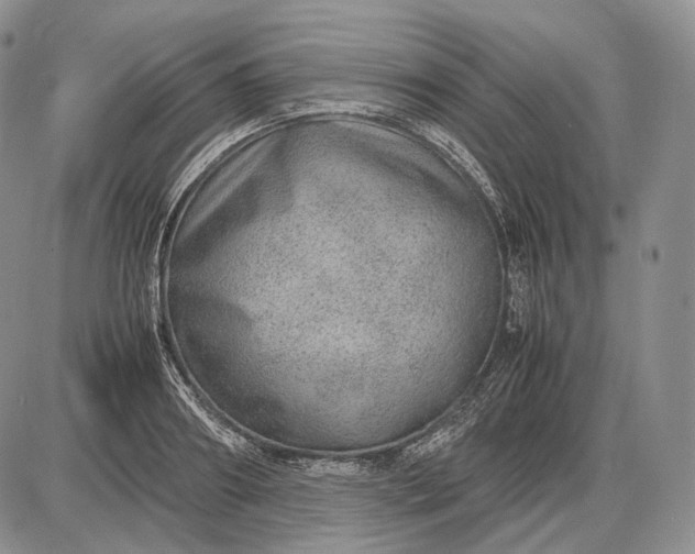 X0000085050890200703191256
