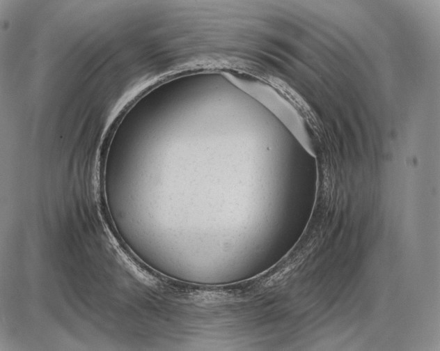 X0000085050894200703191256