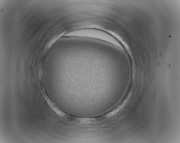 X0000085050897200703191256