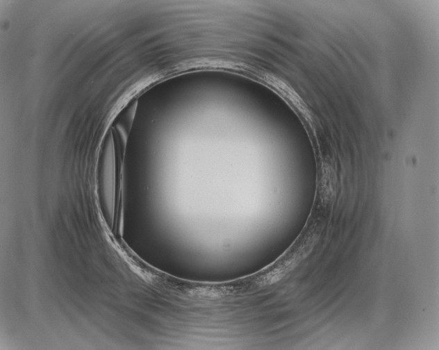 X0000085050898200703191256