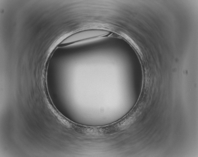 X0000085050901200703191256