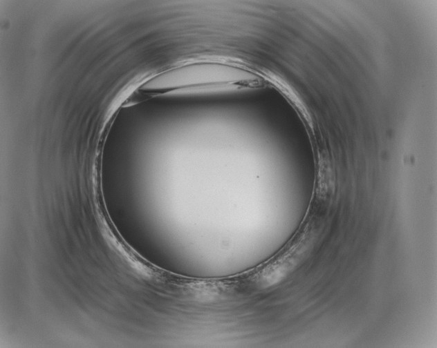 X0000085050906200703191256