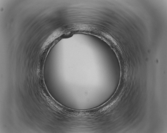 X0000085050922200703191255