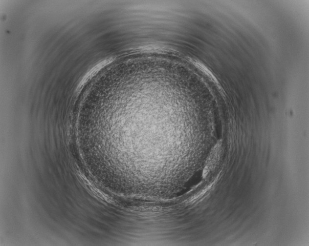 X0000085050930200703191255