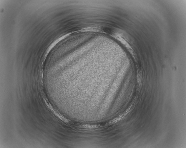 X0000085050933200703191255