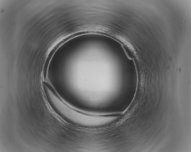 X0000085050936200703191255