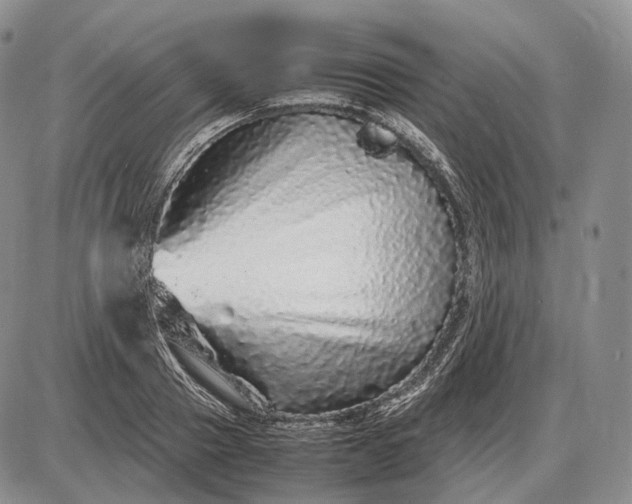 X0000085050937200703191255
