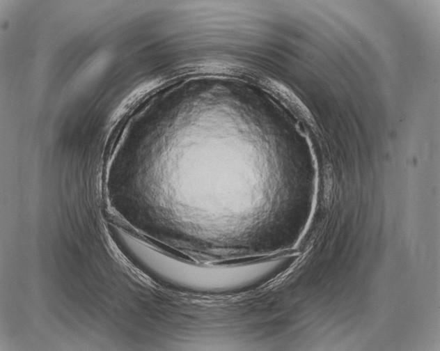 X0000085050938200703191255