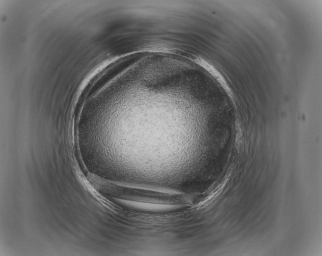 X0000085050939200703191255