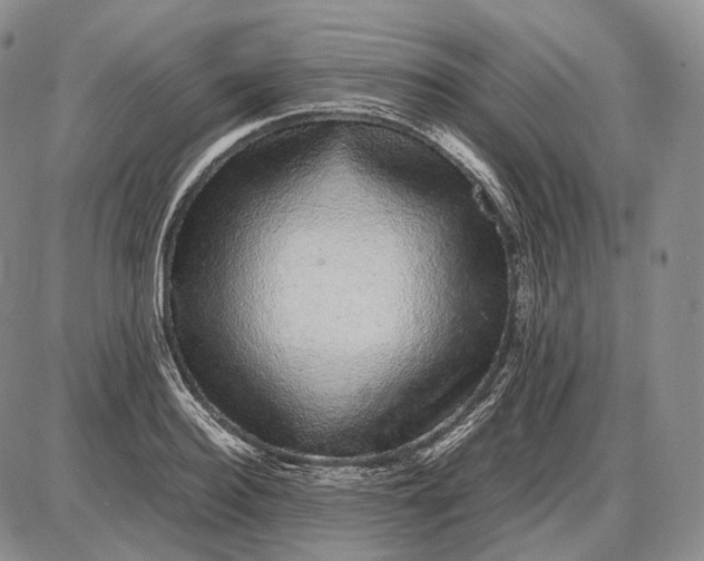 X0000085050940200703191255