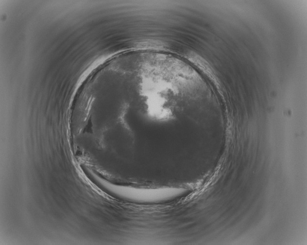 X0000085050941200703191255