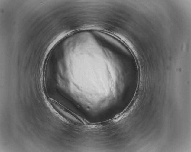 X0000085050949200703191255