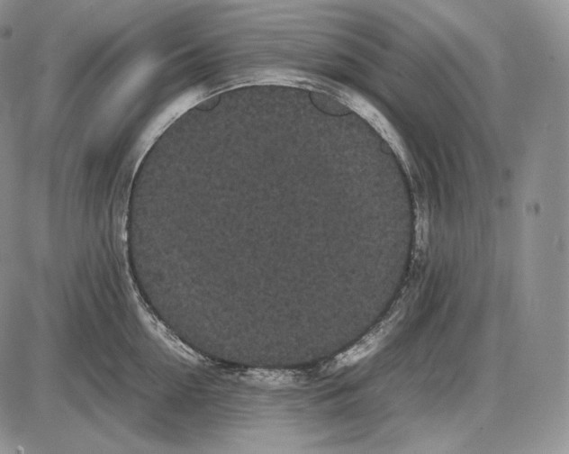 X0000085050954200703191255