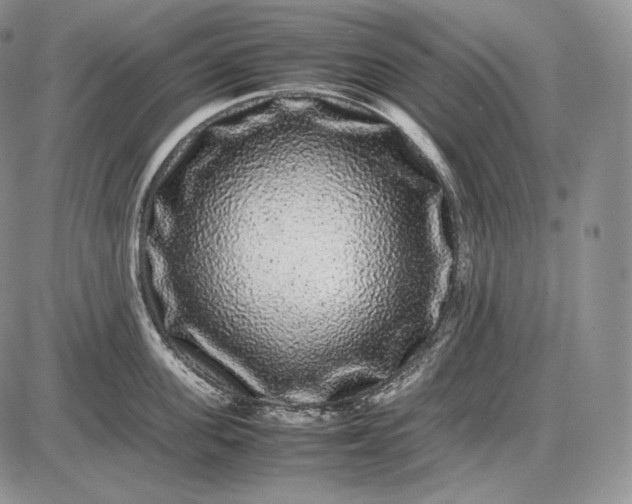 X0000085050955200703191255