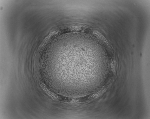 X0000085050961200703191255