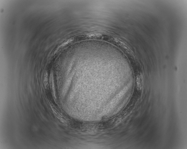X0000085050963200703191255