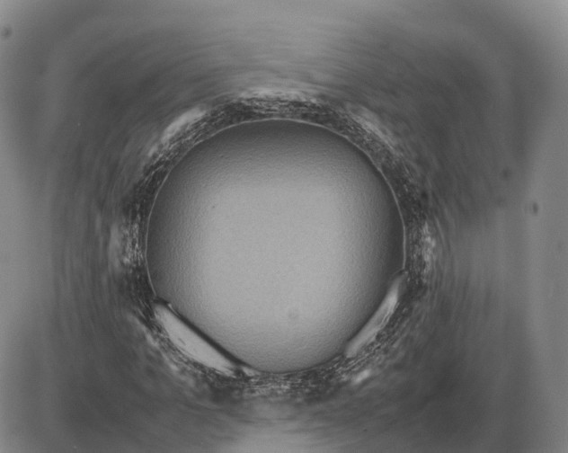 X0000085050965200703191255