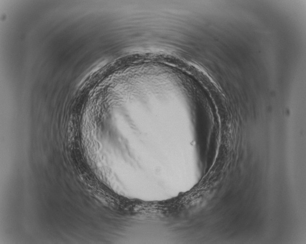 X0000085050967200703191255