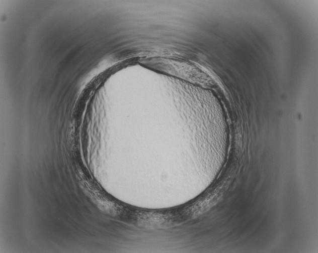 X0000085050971200703191254