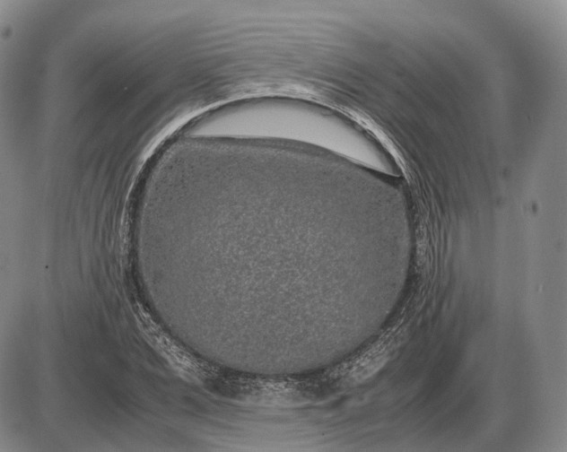 X0000085050975200703191254