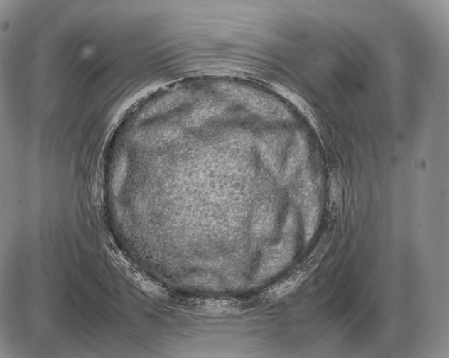 X0000085050979200703191254