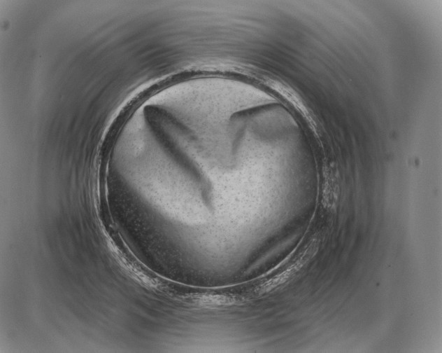 X0000085050984200703191254