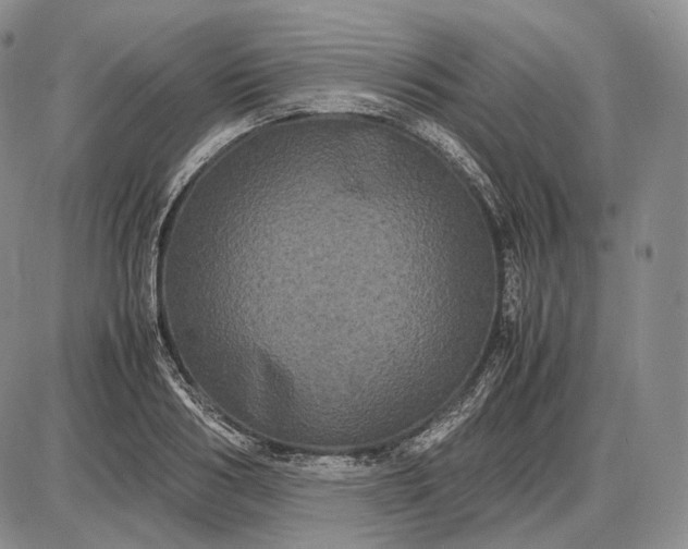 X0000085050986200703191254