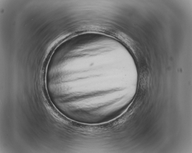 X0000085050987200703191254
