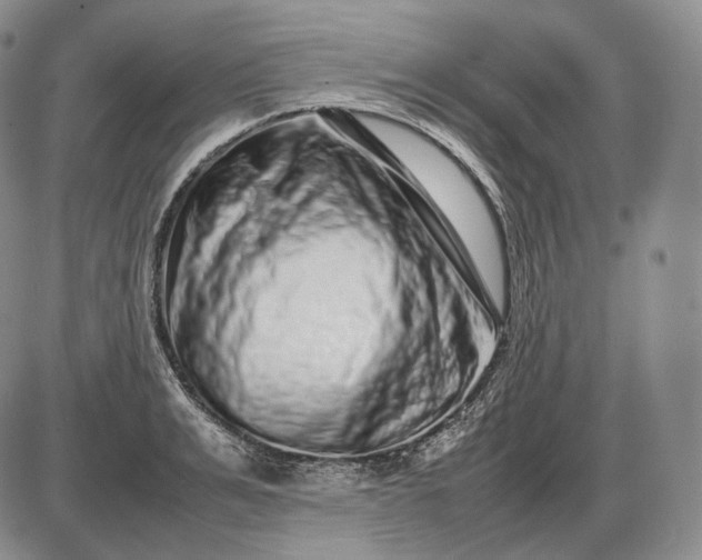 X0000085050991200703191254
