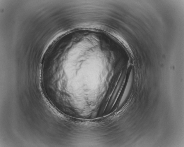 X0000085050992200703191254