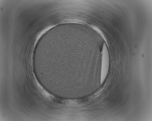 X0000085050995200703191254