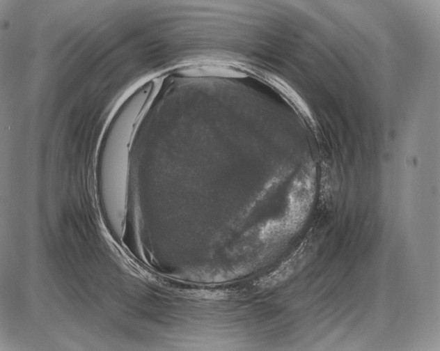 X0000085050996200703191254