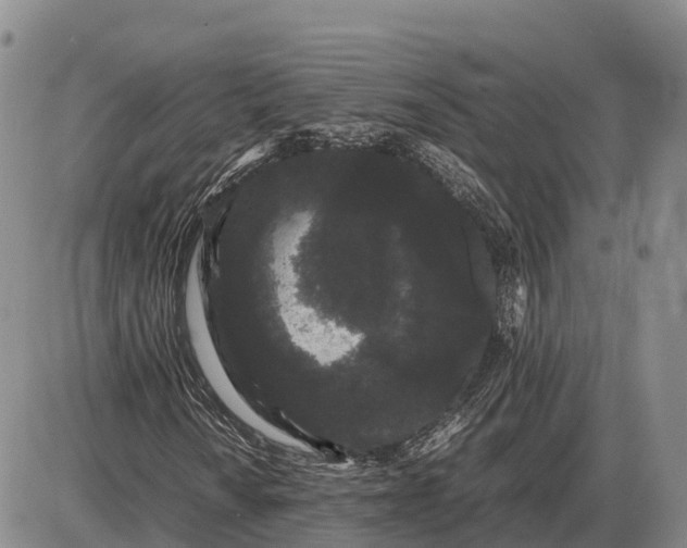 X0000085051010200703191253