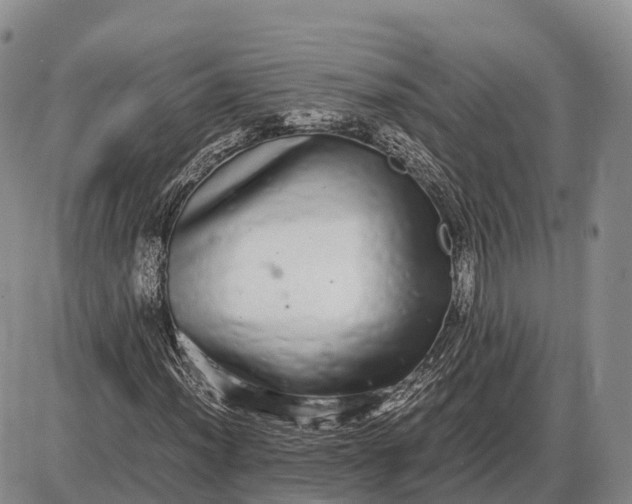 X0000085051012200703191253