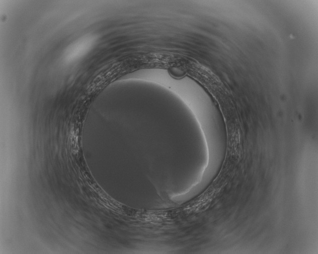 X0000085051013200703191253