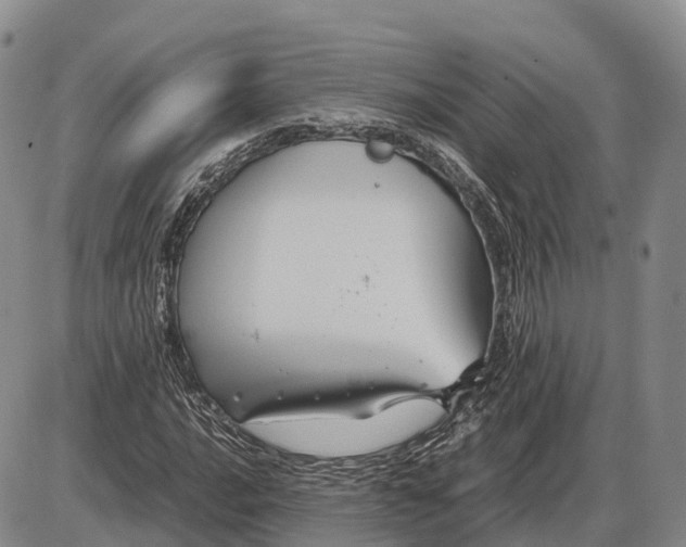 X0000085051016200703191253