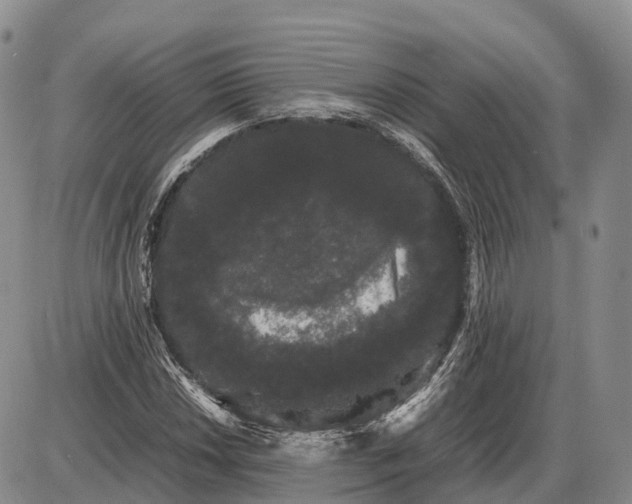 X0000085051018200703191253