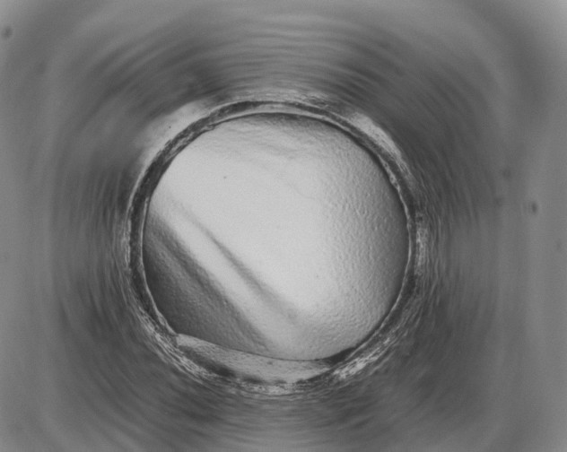 X0000085051020200703191253